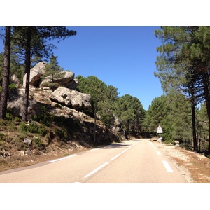 Photo France Corse Forêt de l'Ospedale 2012-09 27
