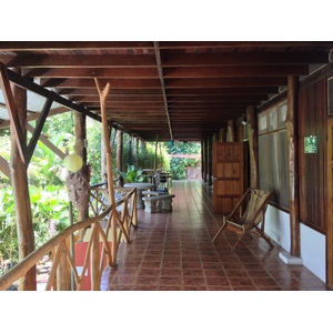 Photo Costa Rica Parc Manuel Antonio 2015-03 416