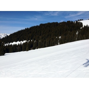 Photo France Megève Mont d'Arbois 2012-02 1