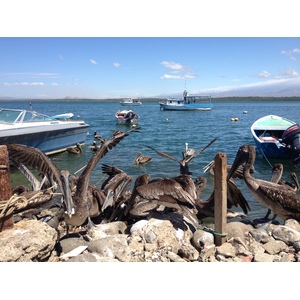 Photo Costa Rica Puntarenas 2015-03 100