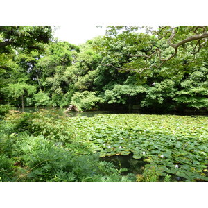 Photo Japon Kyoto Jardin Shosei en 2010-06 46