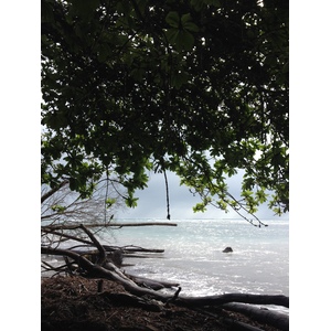 Photo Costa Rica Cahuita 2015-03 104