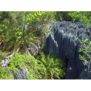 Photo Madagascar Tsingy 1999-10 7