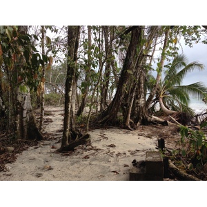 Photo Costa Rica Cahuita 2015-03 107