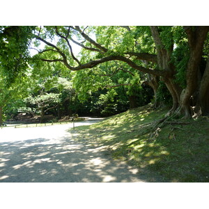 Photo Japon Tokyo Jardins Hama rikyu 2010-06 31
