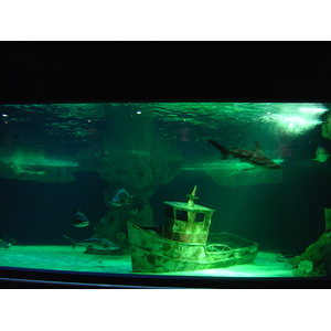 Photo France Le Croisic 2004-08 31