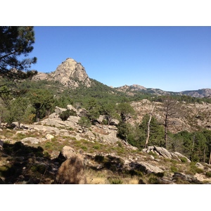 Photo France Corse Forêt de l'Ospedale 2012-09 17