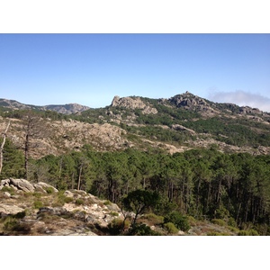Photo France Corse Forêt de l'Ospedale 2012-09 9
