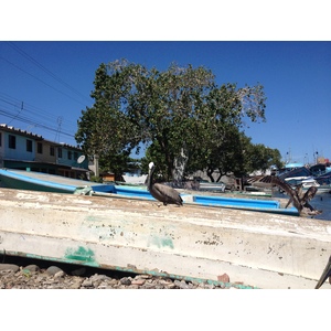 Photo Costa Rica Puntarenas 2015-03 117