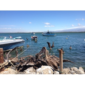 Photo Costa Rica Puntarenas 2015-03 126