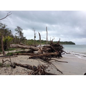 Photo Costa Rica Cahuita 2015-03 10