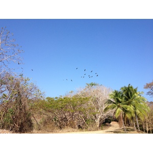 Photo Panama Ile de Contadora 2015-03 135