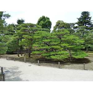 Photo Japon Kyoto Château Nijo Palais Honmaru 2010-06 16