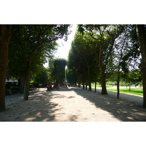 Photo France Paris Jardin des Plantes 2007-08 228