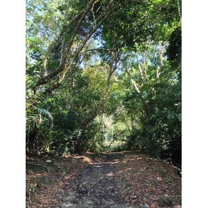Photo Costa Rica Parc Manuel Antonio 2015-03 129