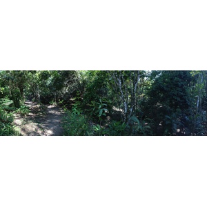 Photo Costa Rica Parc Manuel Antonio 2015-03 133