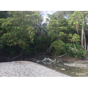Photo Costa Rica Parc Manuel Antonio 2015-03 513