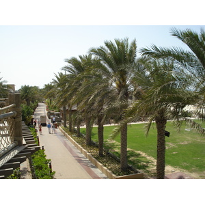 Photo Émirats arabes unis Dubai Parc Wild Wadi 2007-03 88