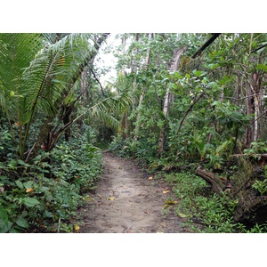 Photo Costa Rica Cahuita 2015-03 28