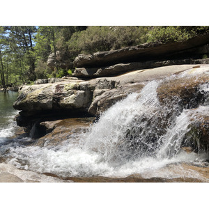 Photo France Corse Forêt d'Aïtone 2021-06 41