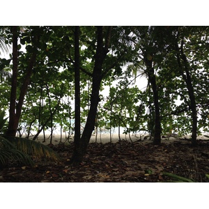 Photo Costa Rica Cahuita 2015-03 9