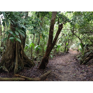 Photo Costa Rica Cahuita 2015-03 250