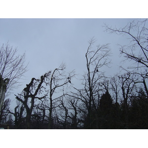 Photo Autriche Vienne 2005-03 105