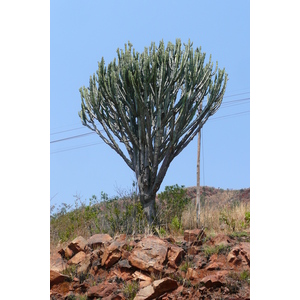 Photo Afrique du Sud route de Nelspruit à Johannesburg 2008-09 158