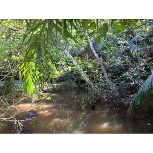 Photo Costa Rica Parc Manuel Antonio 2015-03 57