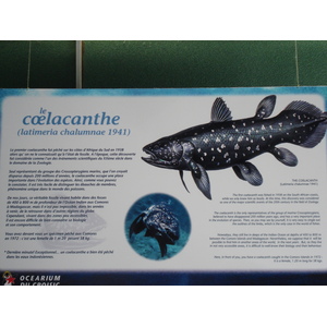 Photo France Le Croisic 2006-08 31