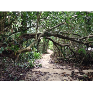 Photo Costa Rica Cahuita 2015-03 264