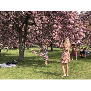 Photo France Parc de Sceaux 2019-04 5