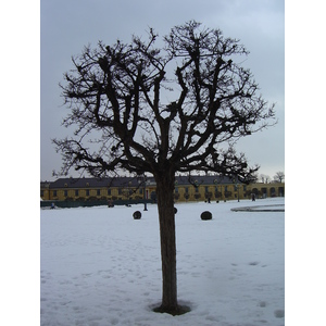 Photo Autriche Vienne 2005-03 7