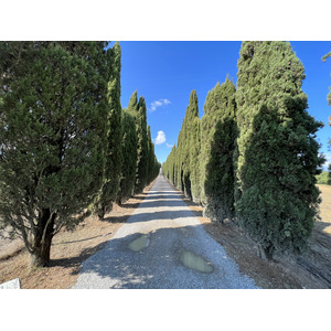 Photo Italie Toscane 2021-09 17
