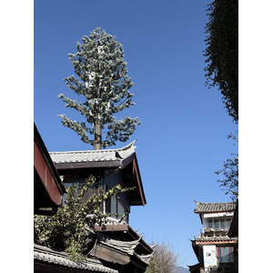 Photo Chine Lijiang 2026-01 281