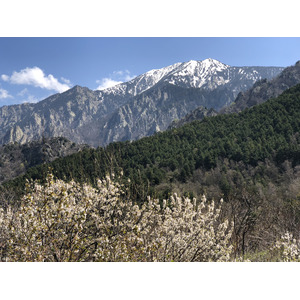 Photo France Abbaye Saint Martin du Canigou 2018-04 192