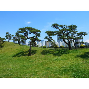 Photo Japon Tokyo Jardins Hama rikyu 2010-06 50