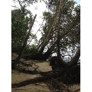 Photo Costa Rica Cahuita 2015-03 252