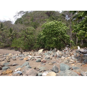 Photo Costa Rica Montezuma 2015-03 371