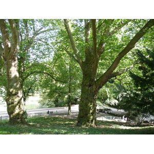 Photo France Paris Parc des Buttes-Chaumont 2007-08 273