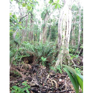 Photo Costa Rica Cahuita 2015-03 223