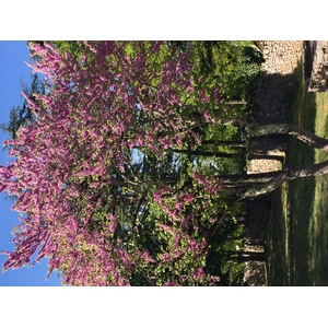 Photo France Rocamadour 2018-04 72