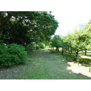 Photo Japon Tokyo Jardins Hama rikyu 2010-06 14