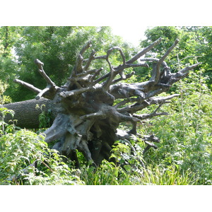 Photo France Paris Jardin des Tuileries 2007-05 273