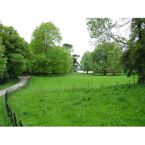 Photo Irlande Kerry Parc National de Killarney Muckross Lake 2004-05 24