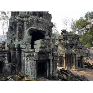 Photo Cambodge Siem Reap Ta Prohm 2023-01 100