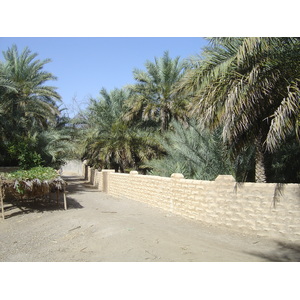Photo Émirats arabes unis Al Ain Oasis 2005-03 25