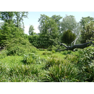 Photo France Paris Jardin des Tuileries 2007-05 300