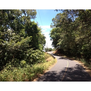 Photo Panama Boquete 2015-03 43