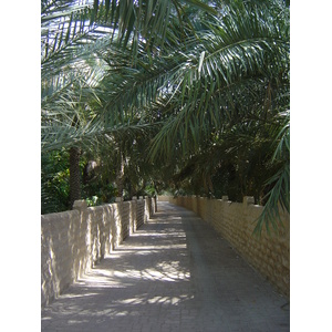 Photo Émirats arabes unis Al Ain Oasis 2005-03 26